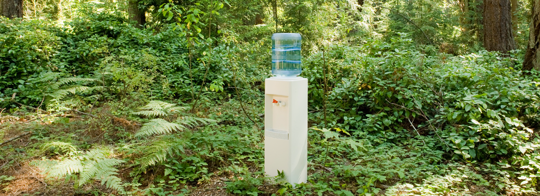 Eine Wasserkühlbox mitten im Wald